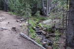 photo thumbnail #1