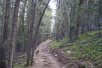 photo thumbnail #6