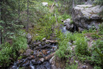 photo thumbnail #9