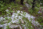 photo thumbnail #14