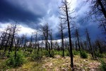 photo thumbnail #1