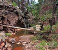 photo thumbnail #4