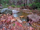 photo thumbnail #10