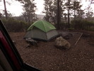 photo thumbnail #2