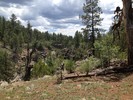 photo thumbnail #7