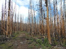 photo thumbnail #7