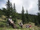 photo thumbnail #4
