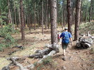 photo thumbnail #4