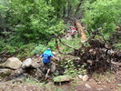 photo thumbnail #7