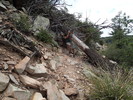 photo thumbnail #12