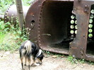 photo thumbnail #6