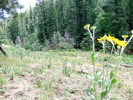 photo thumbnail #10