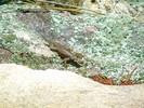 photo thumbnail #12