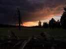 photo thumbnail #8