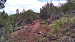 photo thumbnail #7