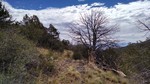 photo thumbnail #11