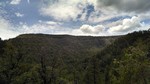 2014-07-14 :1: Bug Hollow Trail #548 :: winotron