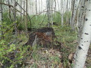 photo thumbnail #11