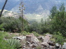 photo thumbnail #12