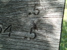 photo thumbnail #1