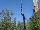 photo thumbnail #3