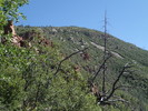 photo thumbnail #6