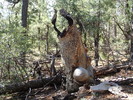 photo thumbnail #7