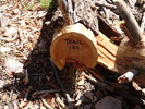 photo thumbnail #15