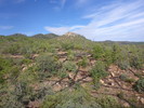 photo thumbnail #8