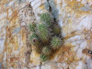 photo thumbnail #11