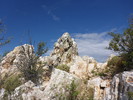 photo thumbnail #12