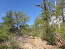 photo thumbnail #15
