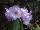 Featured Detail Photo