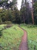 photo thumbnail #2