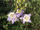 photo thumbnail #8