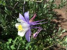 photo thumbnail #9