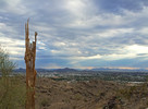 photo thumbnail #6