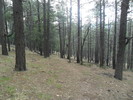 photo thumbnail #2