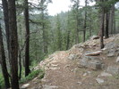 photo thumbnail #3