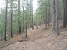 photo thumbnail #8