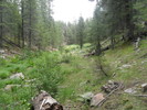 photo thumbnail #9
