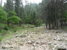 photo thumbnail #10