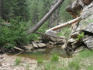 photo thumbnail #13