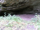 photo thumbnail #14