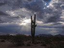 photo thumbnail #2