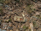photo thumbnail #3