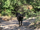 photo thumbnail #15