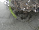 photo thumbnail #6