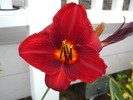 photo thumbnail #10
