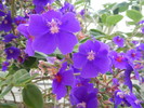 photo thumbnail #14